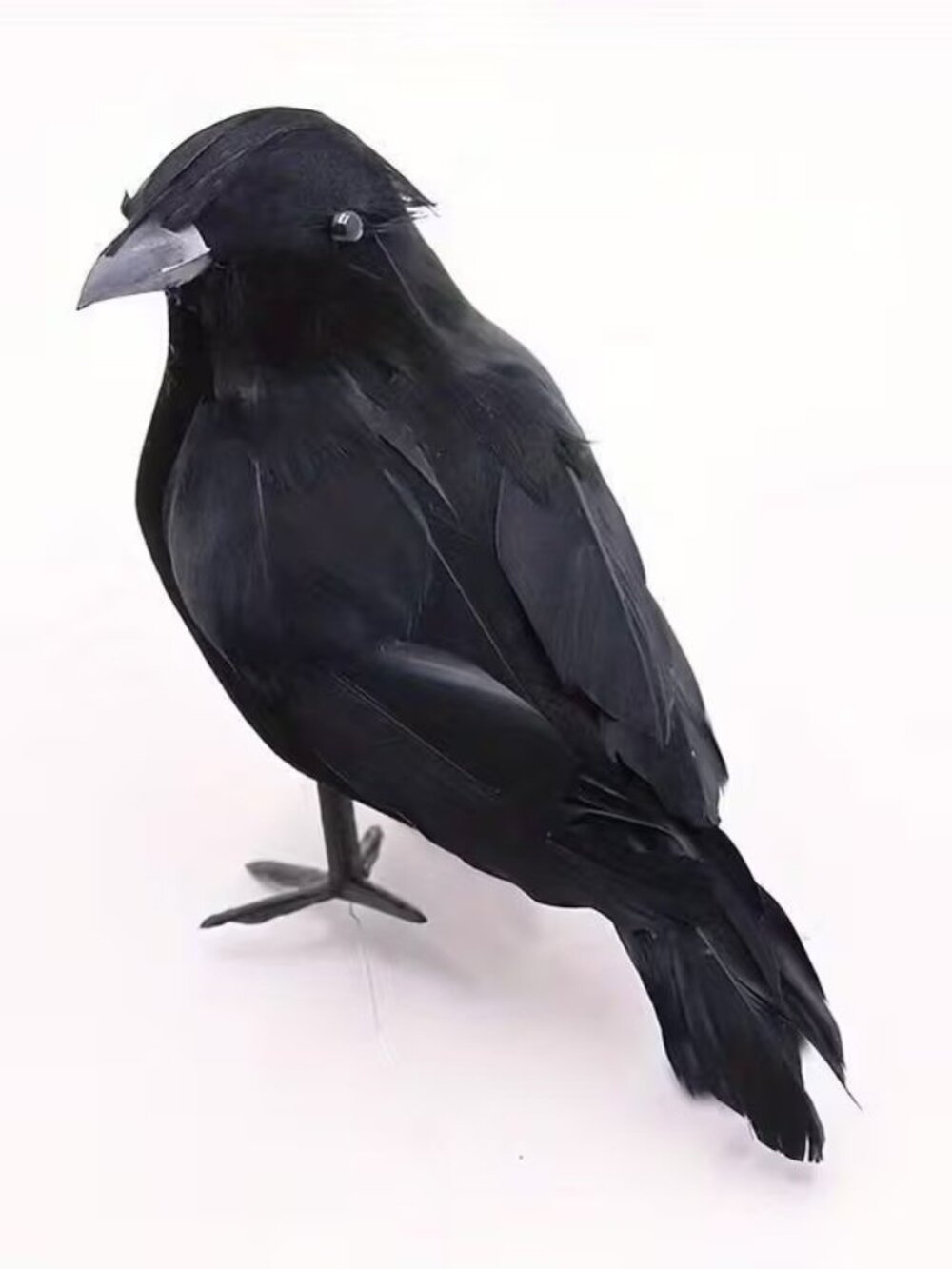 Halloween Realistic Crow Lifelike Black Bird Decor w Glossy Feather Texture